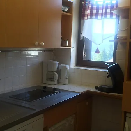 33m² Pieds Des Pistes, Animaux Admis, Balcon Sud - Fr-1-515-79 *